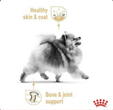 غذای خشک سگ پامرین1.5 کیلوگرم رویال کنین Royal canin